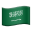 Saudi Arabia flag